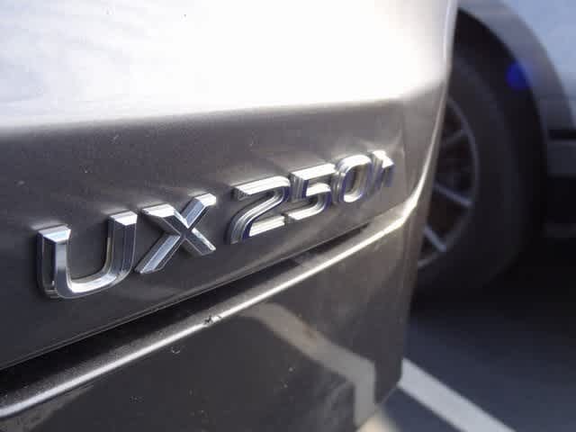 2021 Lexus UX UX 250h