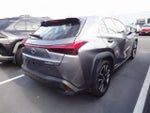 2021 Lexus UX UX 250h